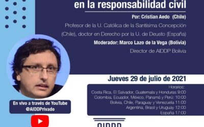 Cristian Aedo Barrena, en el Foro Mensual de Asociación Iberoamericana de Derecho Privado – AIDDP, “La función de la culpa en la responsabilidad civil”