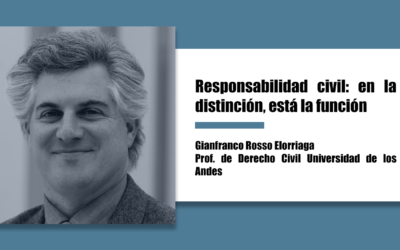 Responsabilidad civil: en la distinción, está la función